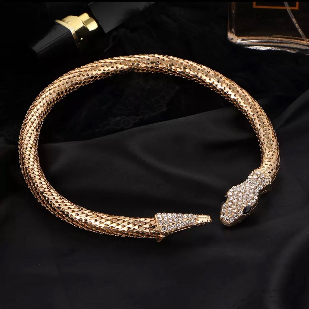 Snake body bracelet
